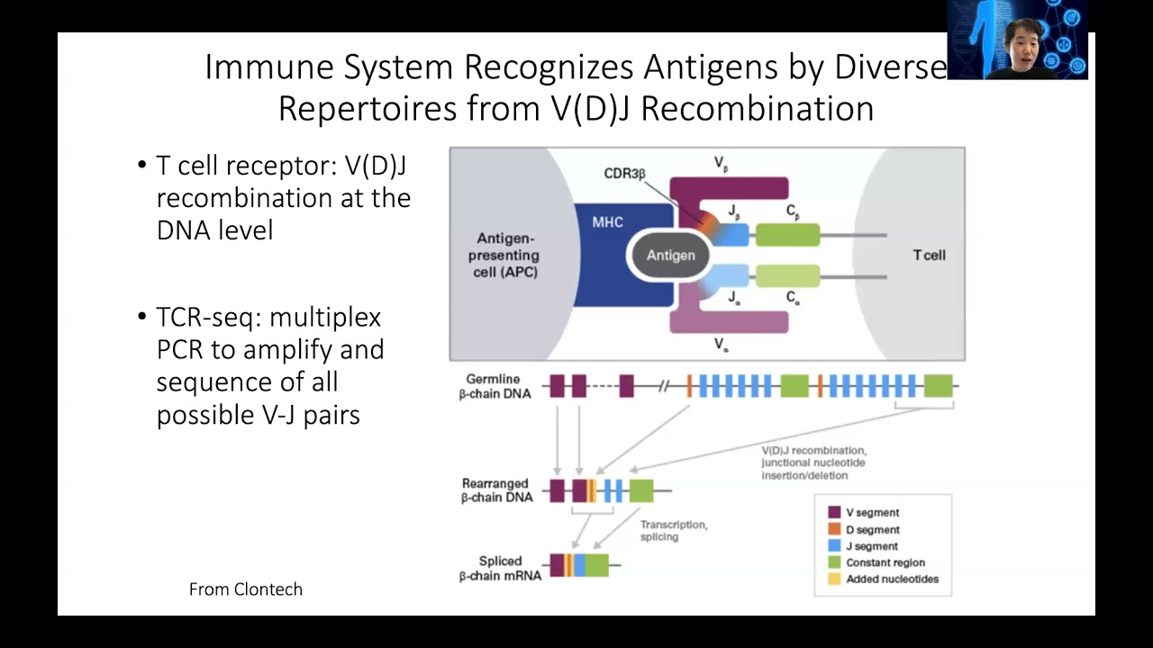 STAT115 Chapter 26.4 T Cell Receptor Repertoires in Cancer Immunology