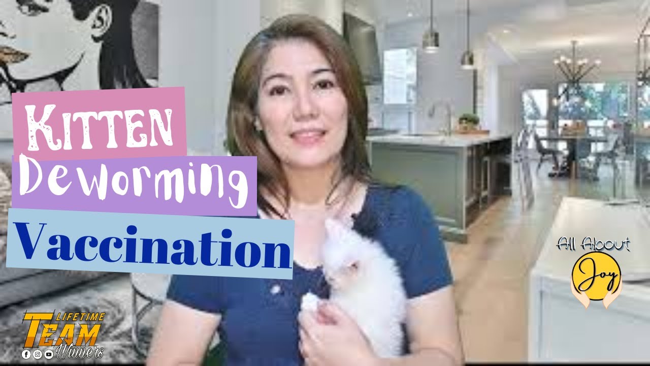 Kitten Deworming and Vaccination Schedule