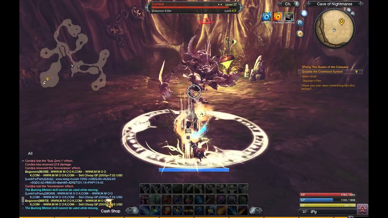 Raiderz Solo Cyndea 1 Min to kill