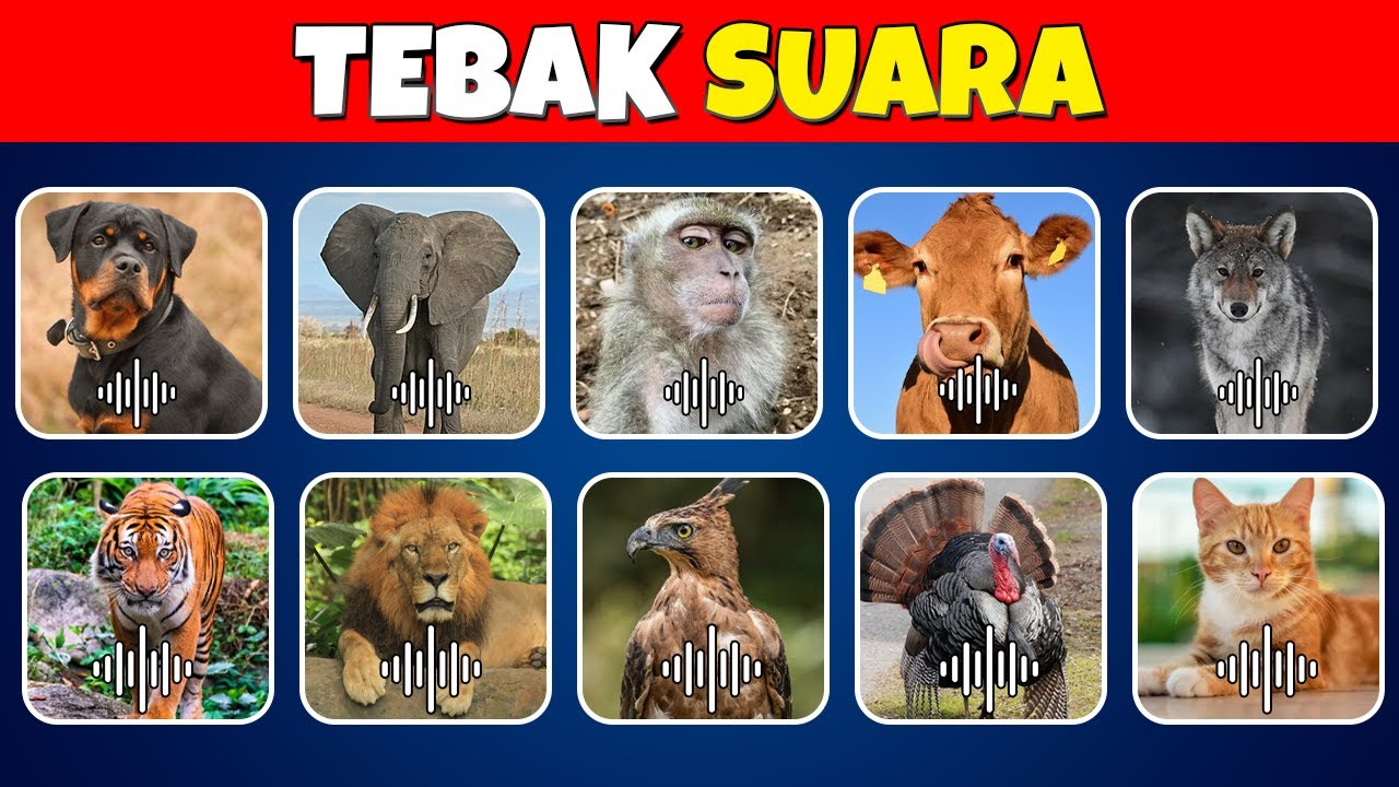Tebak Tebakan Suara Hewan? 🔊🦁🐷🐮🐔 | Singa, Babi, Sapi, Ayam..