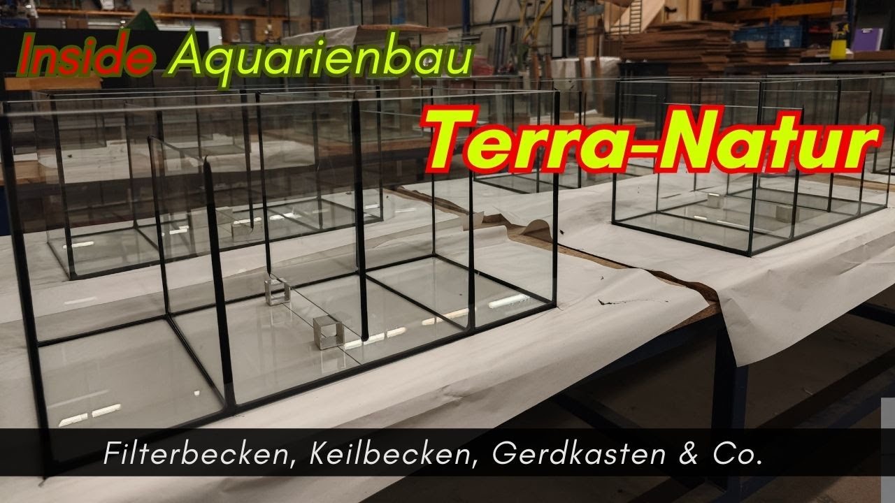 Inside Aquarienbau Terra Natur (1) -Filterbecken, Keilbecken, Gerdkasten