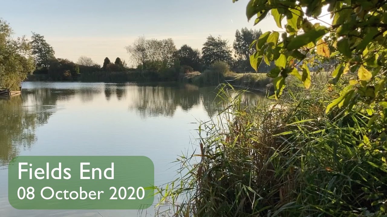 #6 Fields End 08 Oct 2020