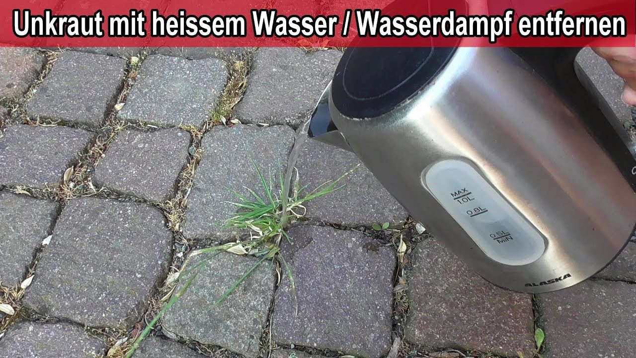 Unkraut mit hei&szlig;em Wasser / Wasserdampf entfernen / Unkraut mit Hei&szlig;wasser vernichten ohne Chemie