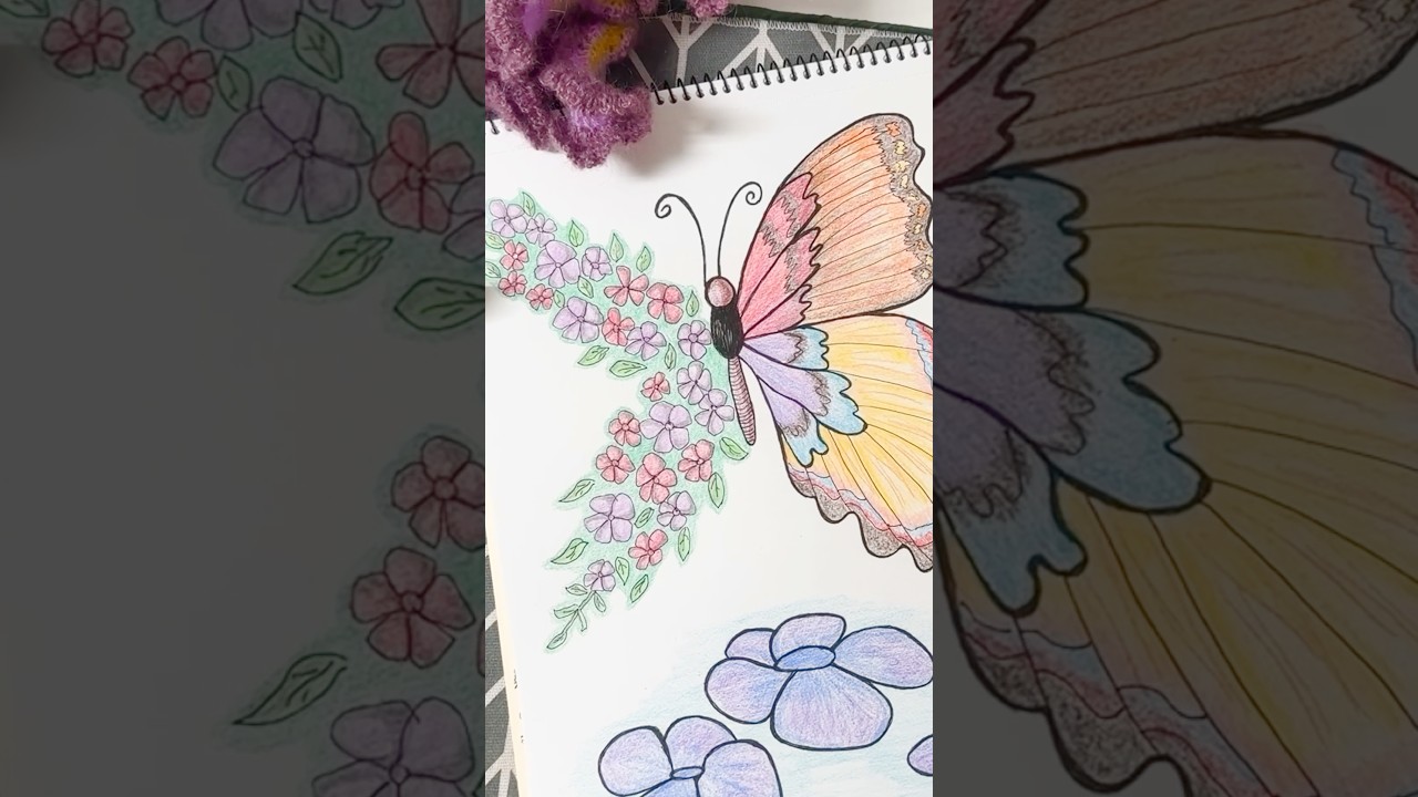 Aesthetic Butterfly Line Art 