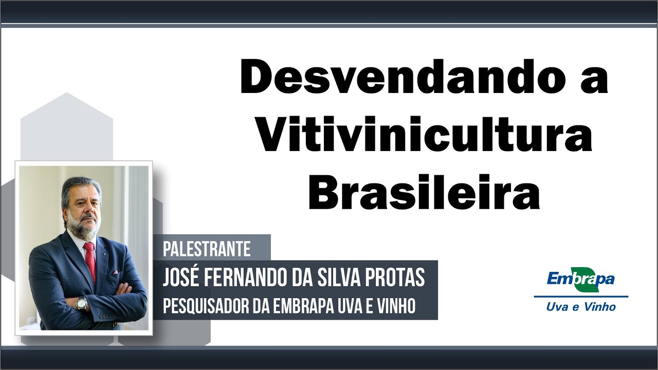 Desvendando a Vitivinicultura Brasileira