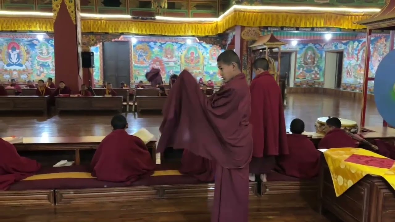 Morning Puja with our junior monks | A peaceful start to the day