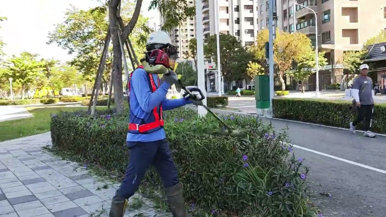 【澳霸】公園維護的日常－灌木修剪SOP