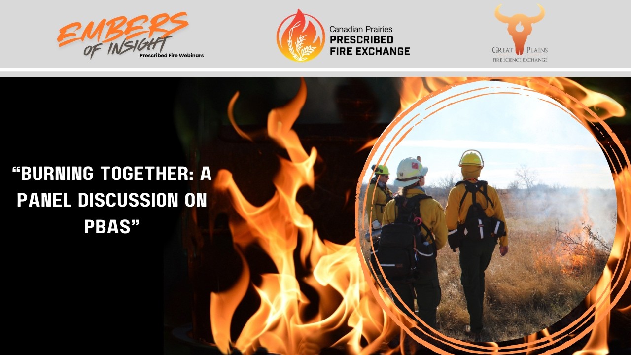 Embers of Insight: Burning Together - A Panel Discussion on PBAs