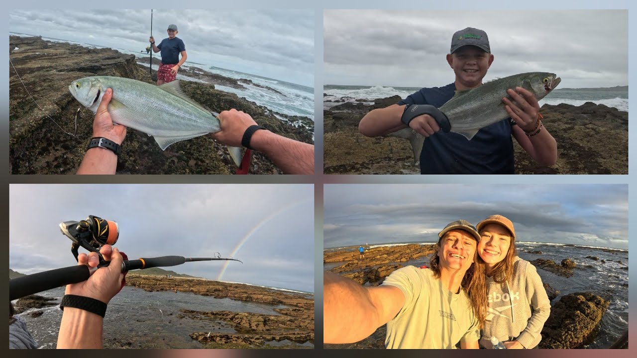 CATCHING Shad/Tailor on lure, between  Dolphin!