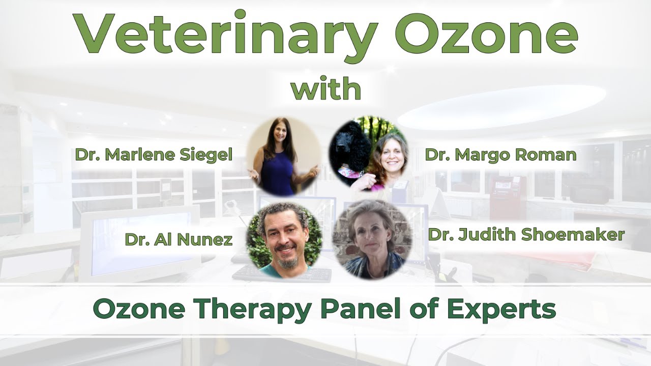 Animals heal fast with ozone therapy - Drs. Judith Shoemaker, Al Nunez, Margo Roman, Marlene Siegel