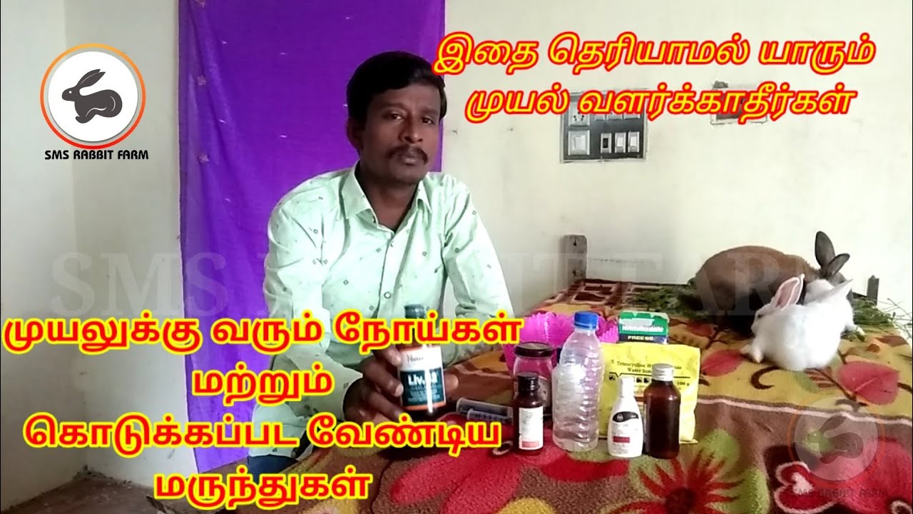 #முயலுக்கு# வரும் நோய்கள் #மற்றும் அதற்கான முழு #மருத்துவமும்#