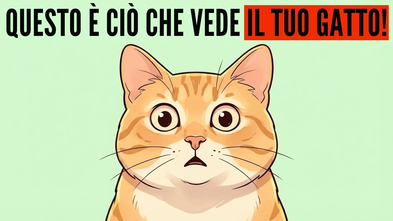 Il tuo gatto non ti vede come un essere umano (Ecco cosa sei davvero per lui).