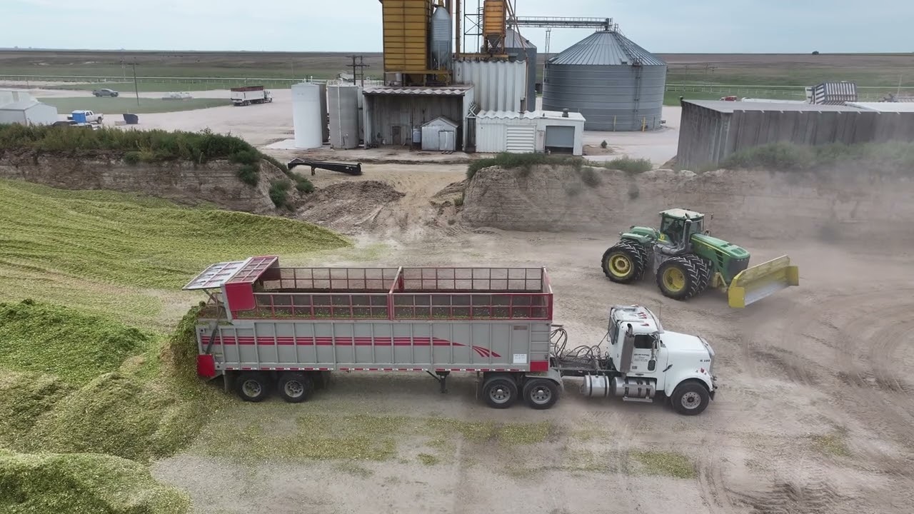 Corn Silage Harvest 