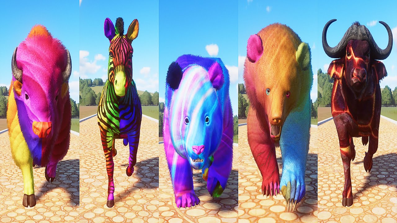 Colored Wild Animals Speed Races in Planet Zoo | Animals Races