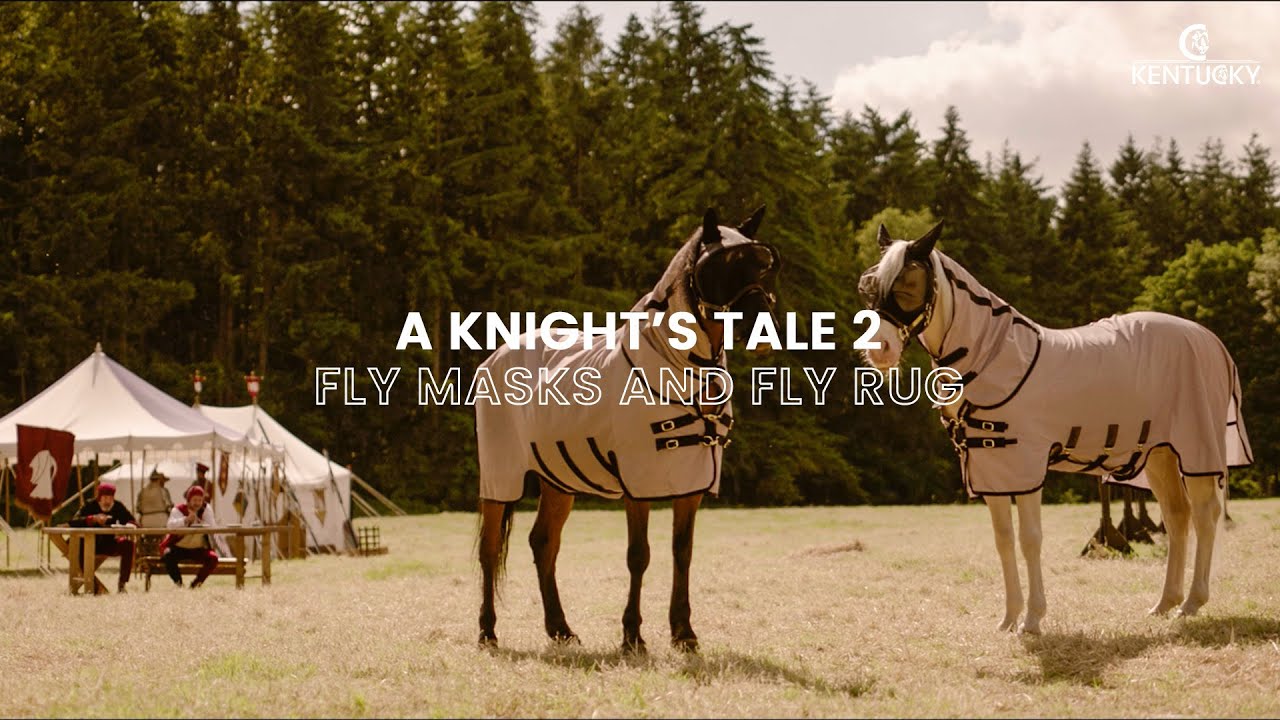 Fly Masks and Fly rug - A Knight's Tale 2 - Kentucky Horsewear