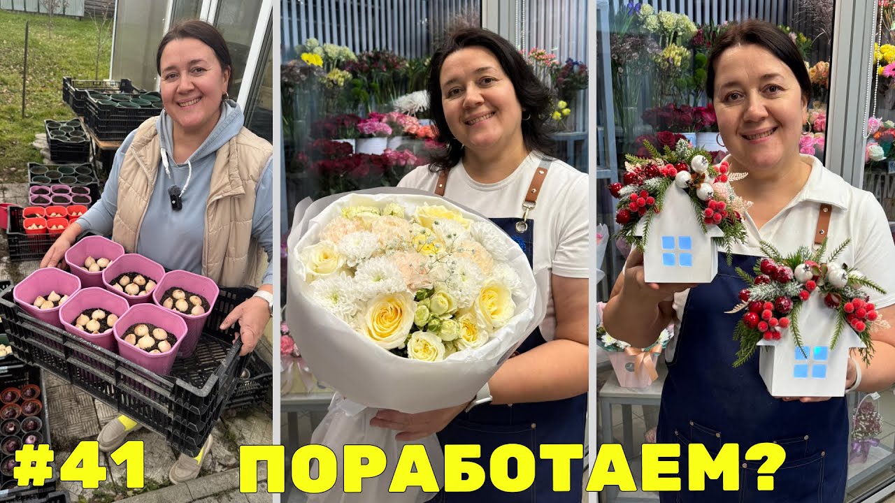 🌷Неделя флориста #41 - Посадка тюльпанов| Секреты поставщика цветов | Упаковка круглого букета