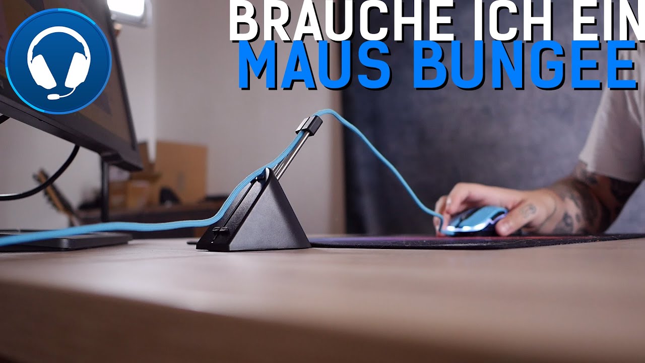 SIND MAUS BUNGEES SINNVOLL? + RICHTIGE EINRICHTUNG
