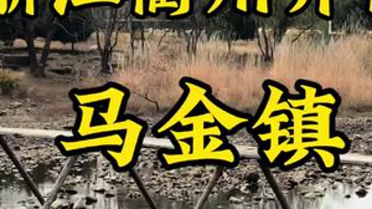 年前在浙江衢州开化县马金镇，一个在浙皖古道上的小镇，古色古香，景色都好#自驾 #古镇 #衢州 #江浙沪安排 #一人一车一世界