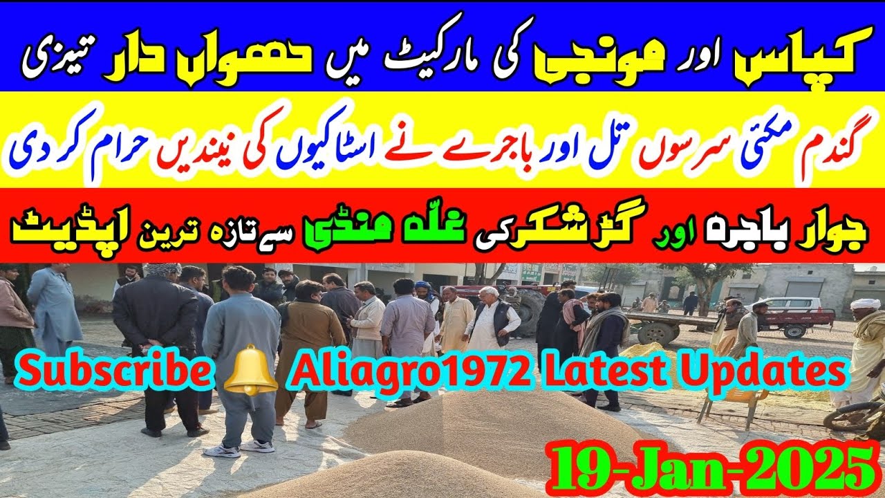 Wheat price In Punjab 2025 | Sarson Munji Til Bajra Gur Rate | Ghalla Mandi Rate Today 