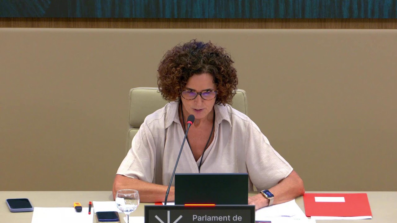 COMISSI&Oacute; D'ASSUMPTES INSTITUCIONALS I GENERALS de dia 17/09/2025 a les 10:00 hores