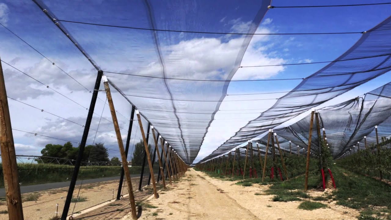 AGROMALLA  MALLAS ANTIPIEDRA/ANTIGRANIZO W/DRONE