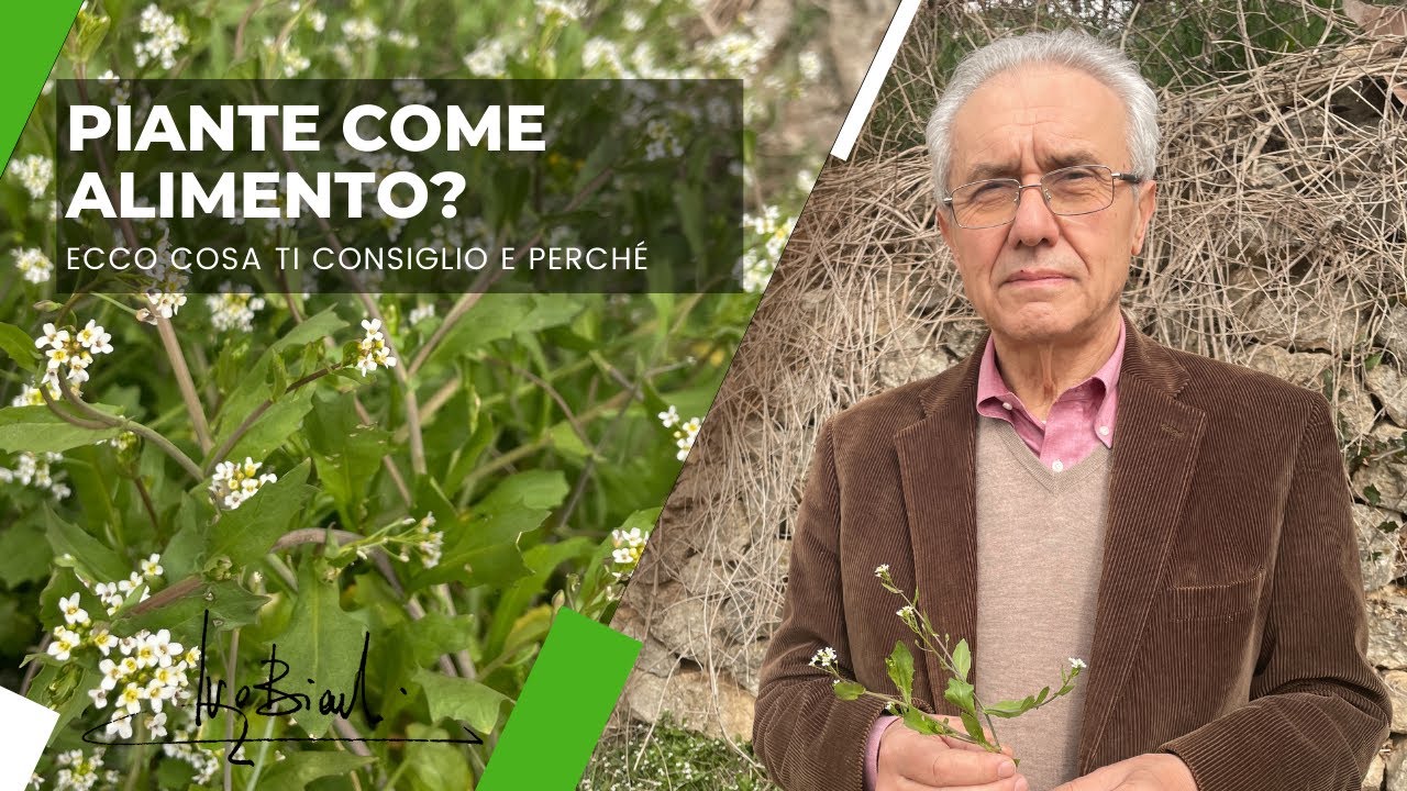 PIANTE come ALIMENTO? Ecco cosa ti consiglio e perchè!