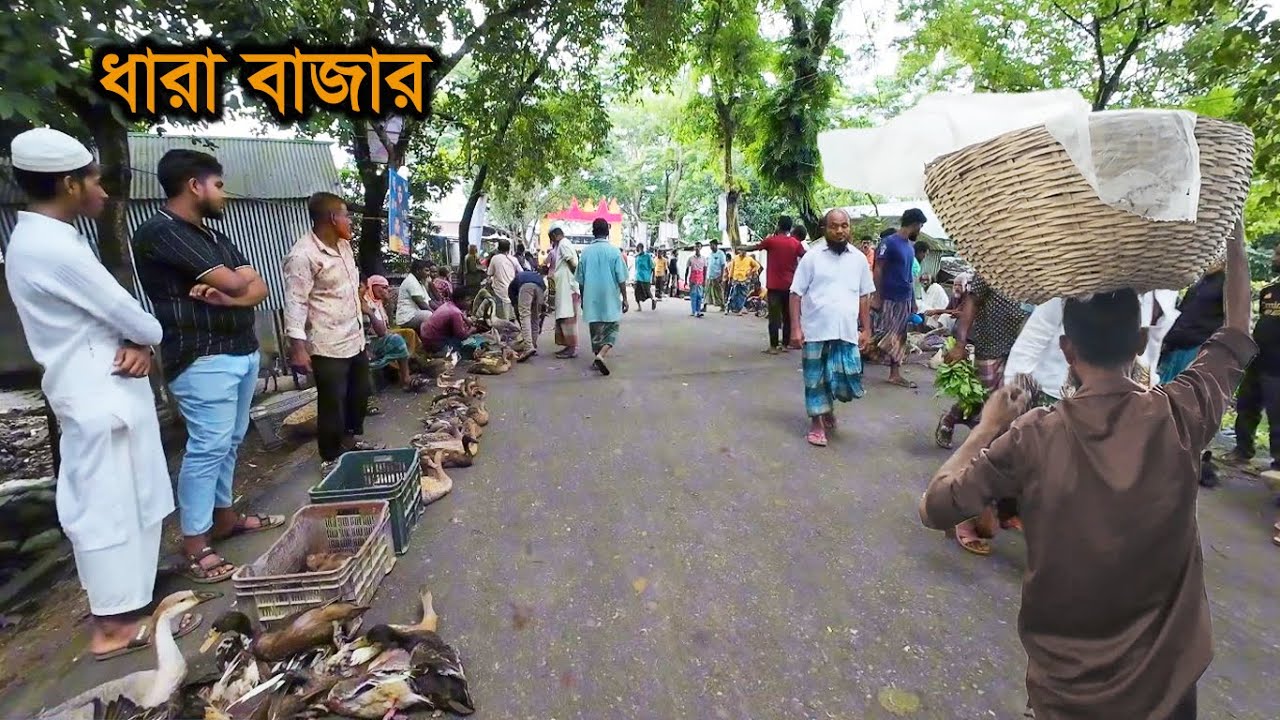 হালকা বৃষ্টির দিনে হাঁস-মুরগিতে ভরপুর এক গ্রামীণ হাট| ধারা বাজার| Deshi duck chicken sale