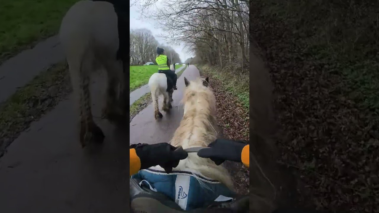 A ride around the lakes on our noble steeds. #dji #horse #horseriding #gypsycob 