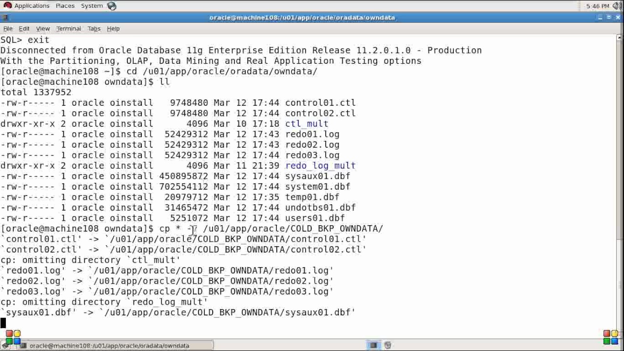 Oracle Database backup  - Cold Backup