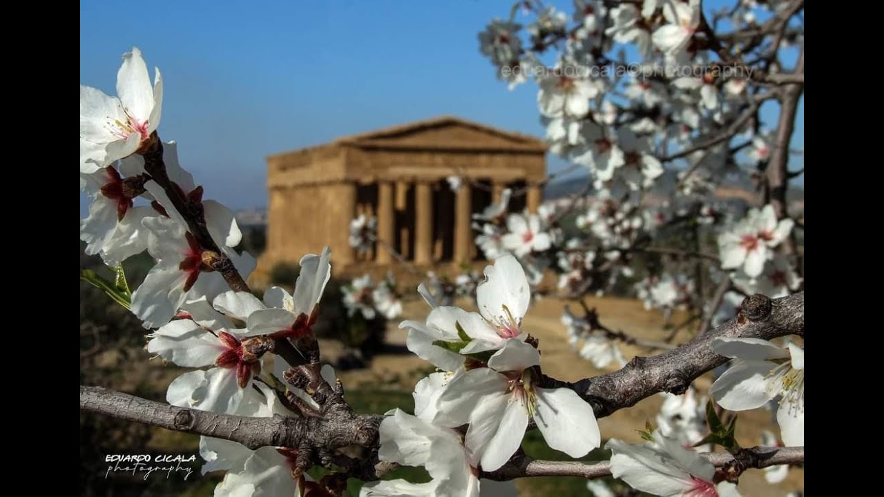 Artisti Uniti per Agrigento - 