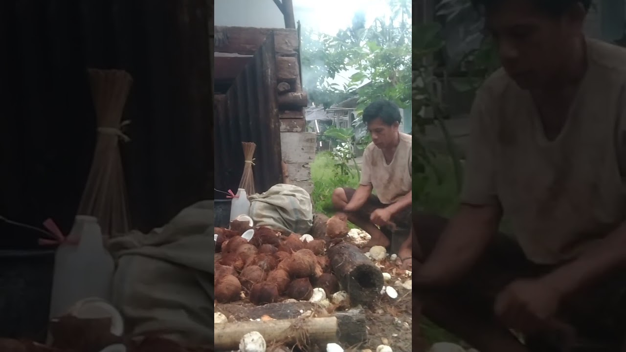 Ba kupas kelapa, bela sampai ba panggang untuk di jadikan kopra.