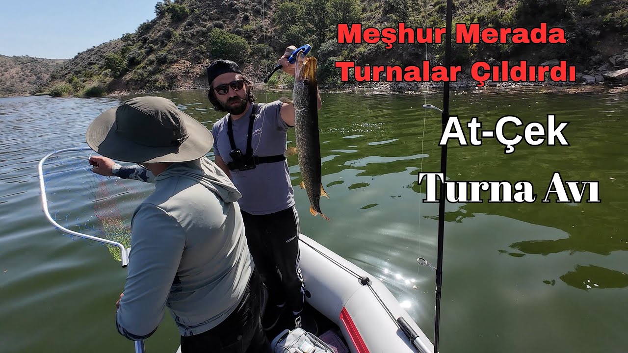 Meşhur Merada Çılgın Turna Avı, At-Çek Turna Avı