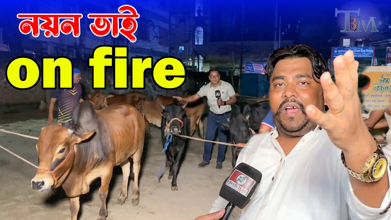 কমদামে জাফরাবাদি মহিষের মাংস পাওয়া যাবে পুরান ঢাকার নয়ন ভাইয়ের মাংসের দোকানে #meat_price_bd