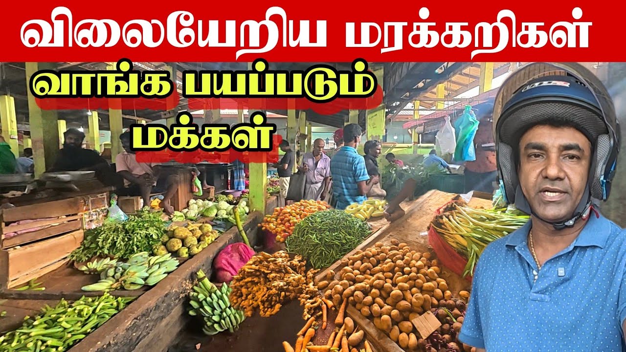 பாதிக்கப்படும் வியாபாரிகள்| திருநெல்வேலி சந்தை | Jaffna Thirunelveli  Market | Thedal Jaffnavlogs 