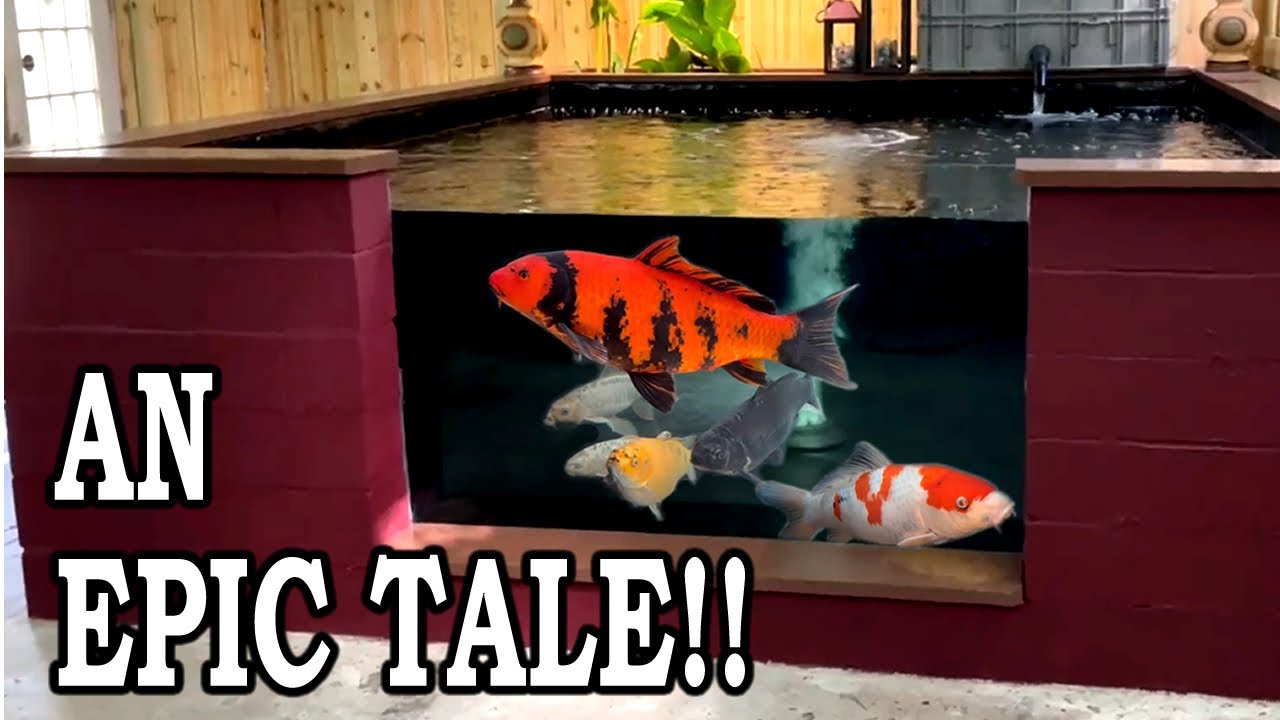 I Built a 5200 Gallon Koi Pond (Despite MANY Obstacles) !!