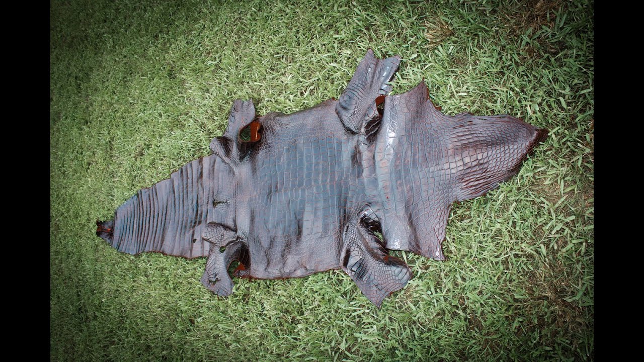 how to Professionally Tan an Alligator hide