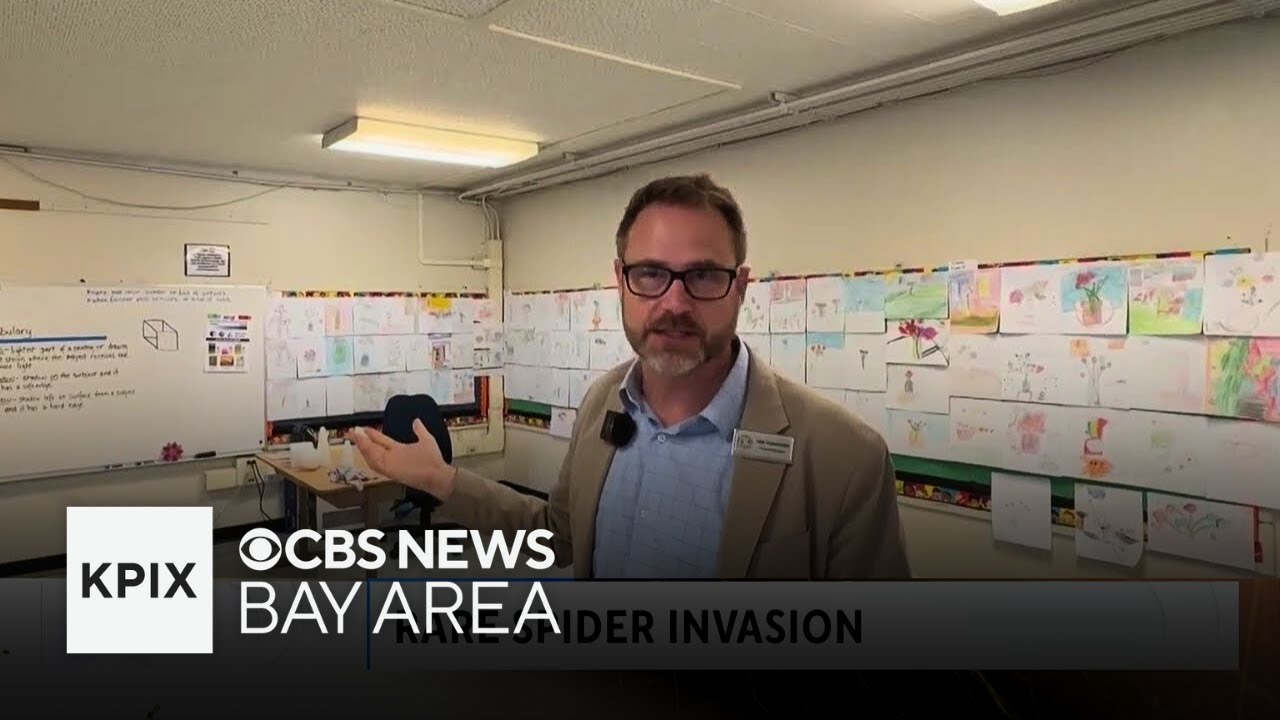 Fremont's Measure M would cover costs of much-needed school renovations