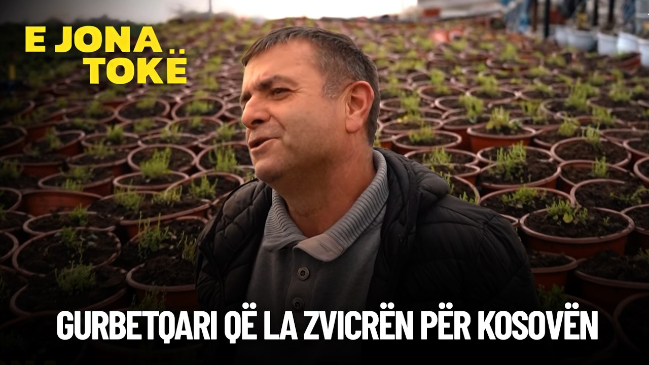 Gurbetqari që la Zvicrën për Kosovën për t'i ndihmuar vëllait në rritjen e luleve