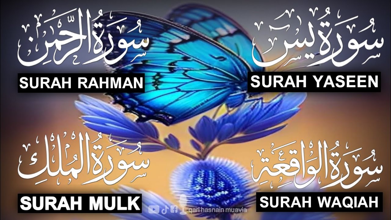 Surah Yasin ❤️ (Makki), Rahman, Waqiah & Mulk | Ep 304 | Daily Quran Recitation & Blessings