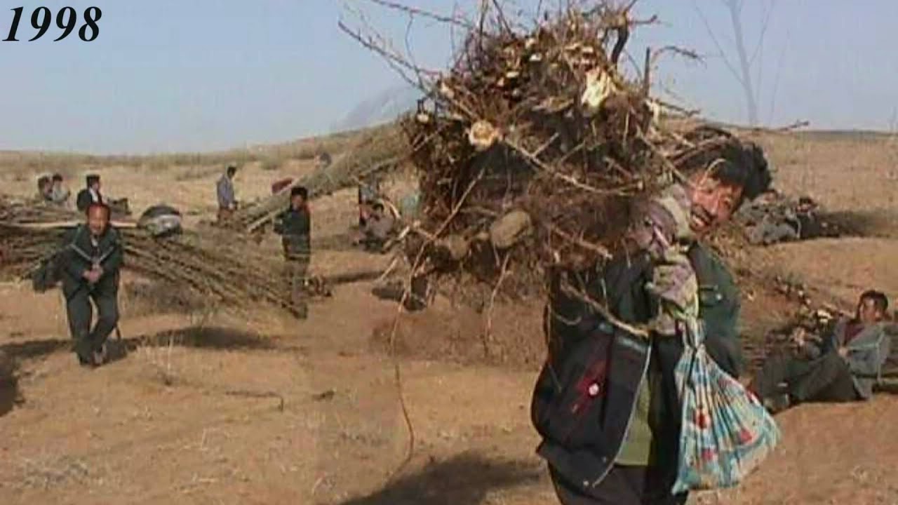 Inner Mongolia Greening Desert Project