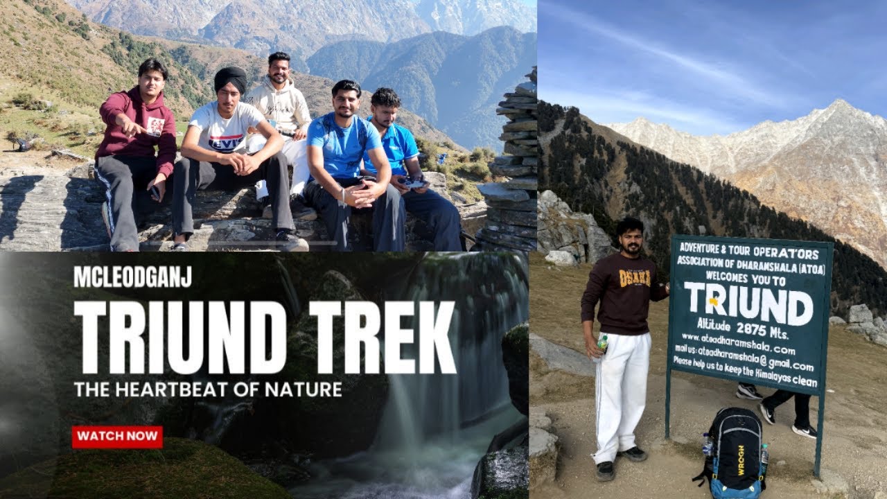 Triund trek full information | camping | best trek route | base camp | triund camp || McLeod Ganj |