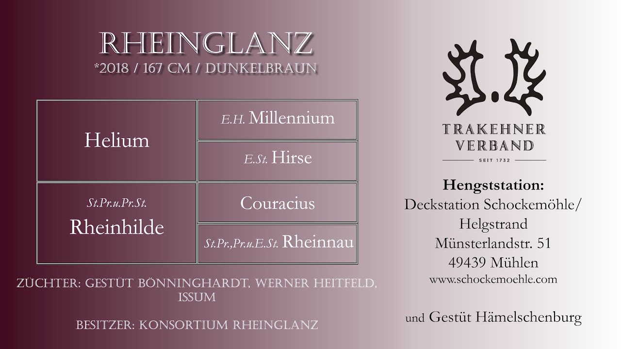 Rheinglanz