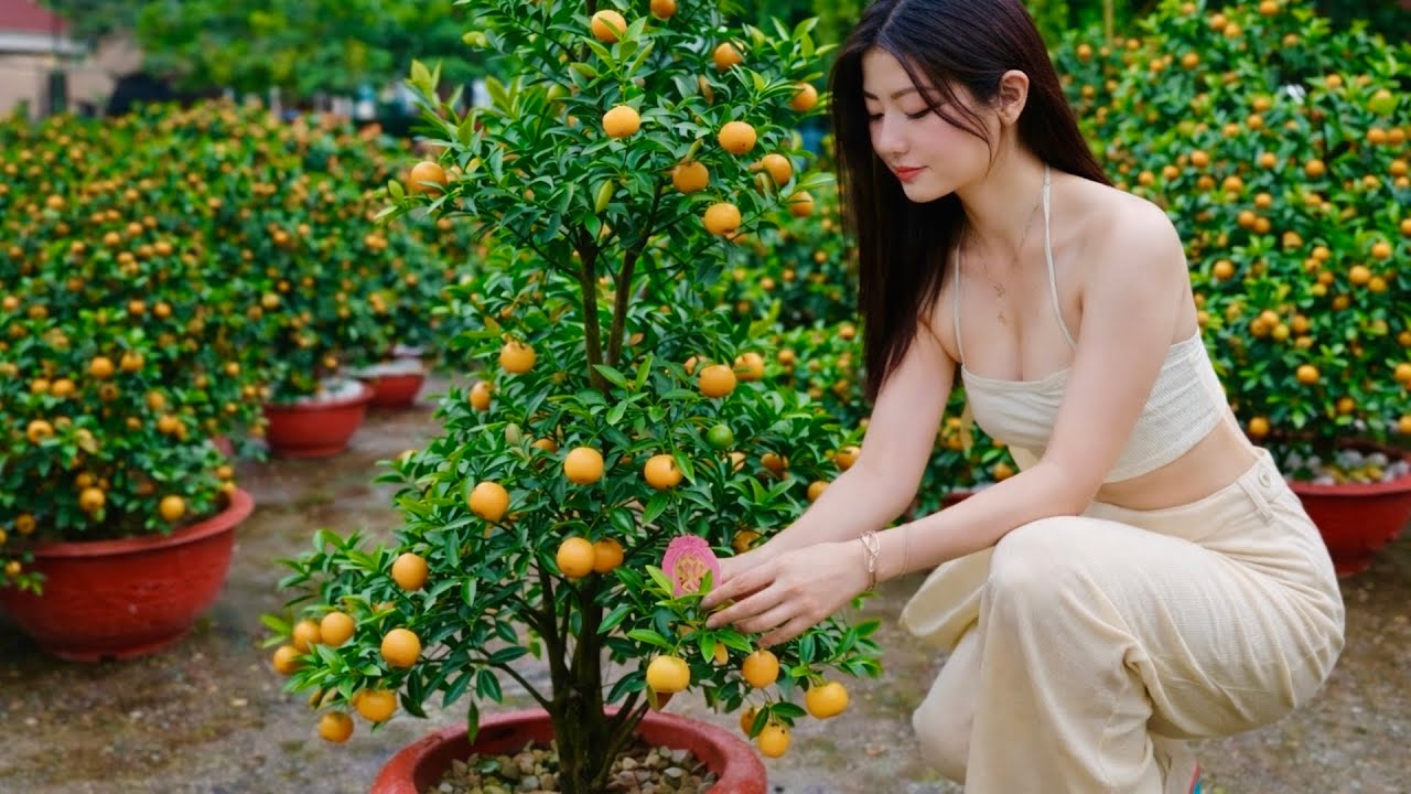 CHỢ QUẤT MƯA BUỒN - THEO CHÂN CÔ GÁI XINH ĐI MUA QUẤT