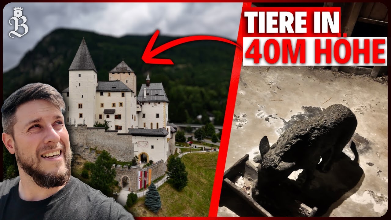 Tiere in 40m Höhe – Burg Mauterndorf überrascht!