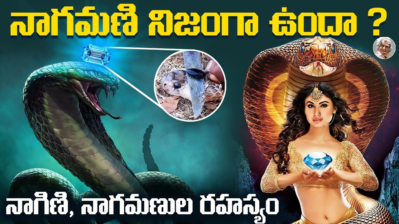 నాగమణికి ఉన్న అద్భుత శక్తులేంటి ? || నాగినీలకు ఉన్న శక్తులేంటి ? || Truths about NagaMani in telgu