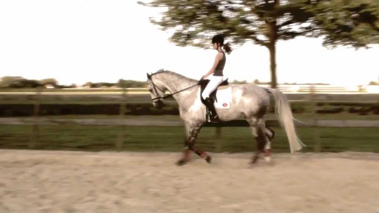 Sara Ederveen & Viavia voor B'day mama 03-6-11