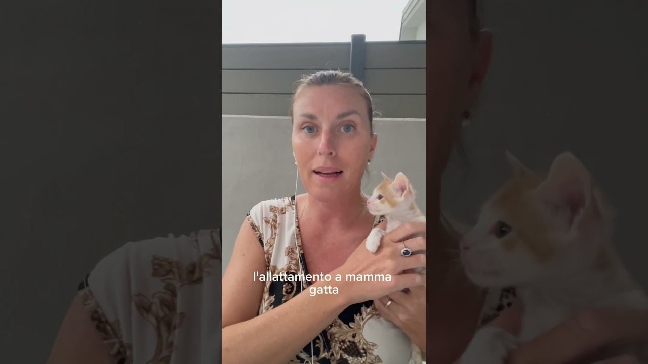 Gattino con #pulci! #gattini #larygattini #gattino