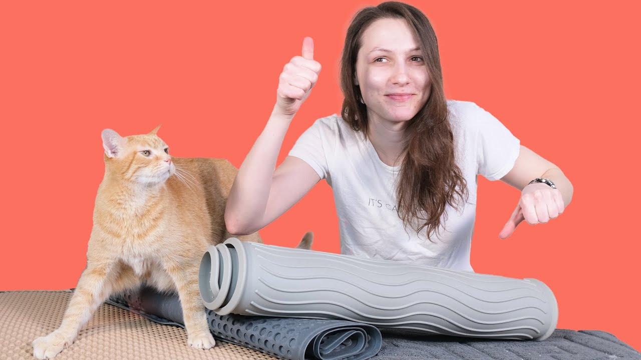 Top 5 Best Cat Litter Mats (We Tested Them)