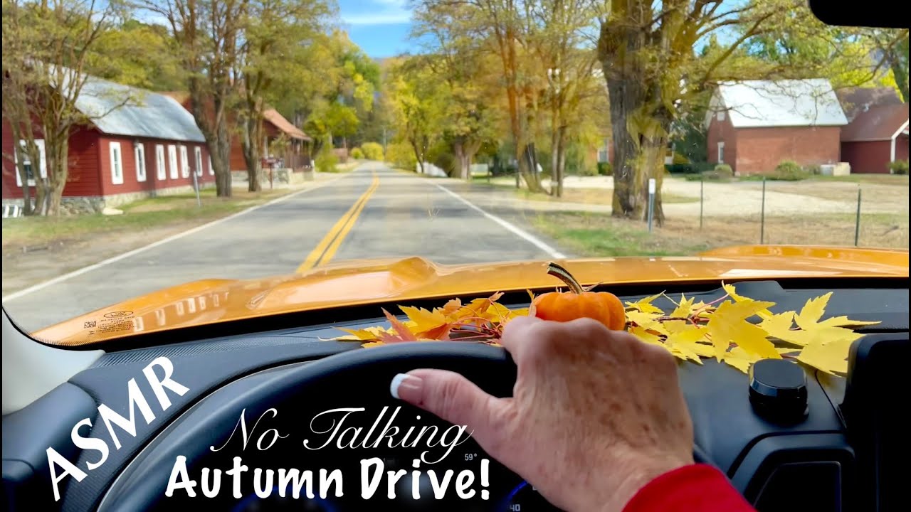ASMR Autumn Drive! (No talking version only) Mountain Fall Foliage! Going up to Antelope Lake!