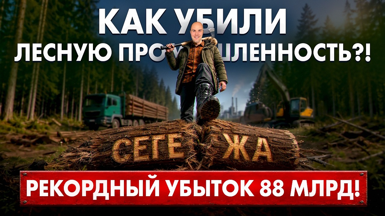 Сегежа разоряется | Что случилось с российским лесным гигантом?